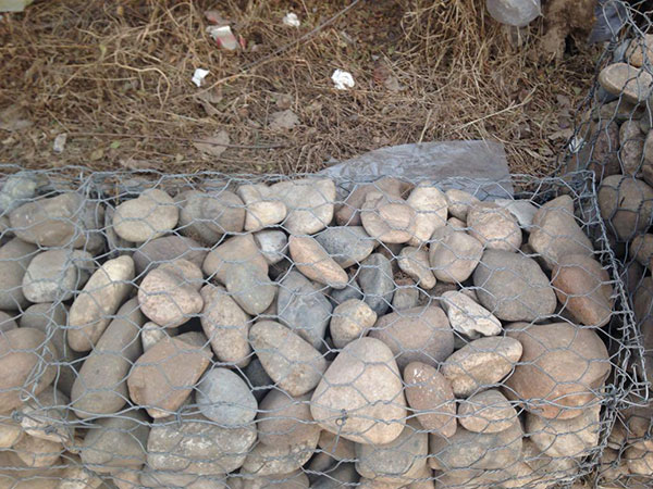 塞克格賓網圖片3