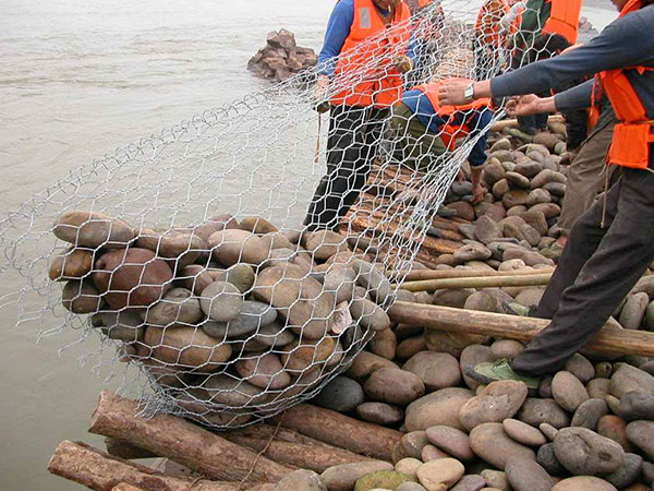 塞克格賓網圖片4