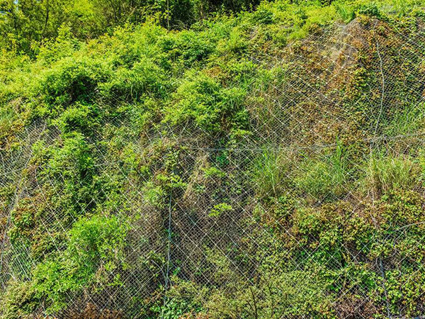 山體護坡網圖片4