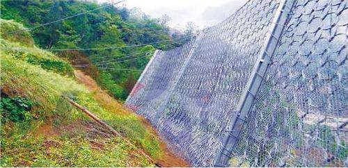 被動環形網 被動環形網