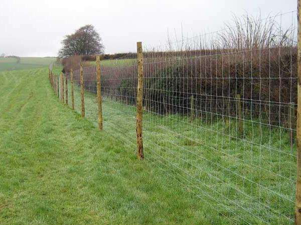 護欄網廠家 護欄網廠家