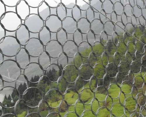 被動環形網 被動環形網